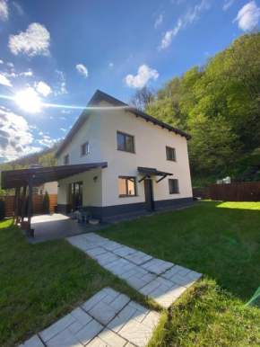 Gura Râstii Holiday Home